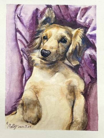 Molly Chang - 寵物水彩寫生