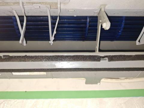 林育宗 - 風鼓清潔後