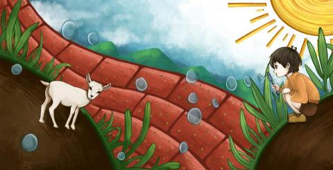 陳君媺 - 龍井農會合作繪本封面設計