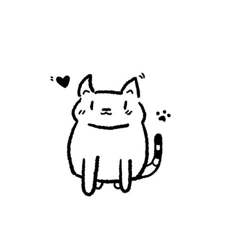 萌貓 - 可愛貓貓