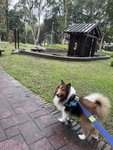 Nicole Chu/朱小姐 - 