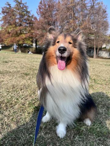 Nicole Chu/朱小姐 - 