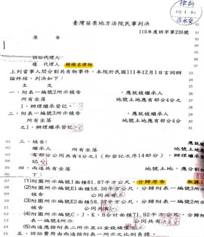 賴揚名律師 - 分割共有物案件成功案例