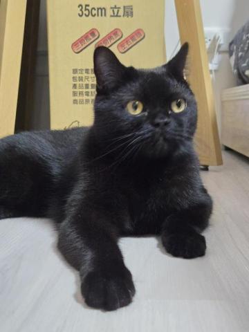 徐晏緹 - 到府可愛的三杯♡ 徐晏緹 - 到府可愛的三杯♡