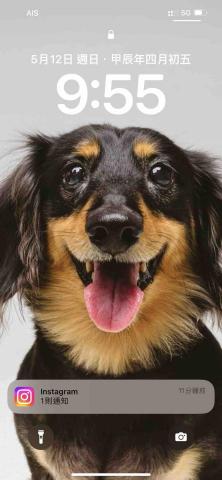 提供保母服務的專家靚晶晶