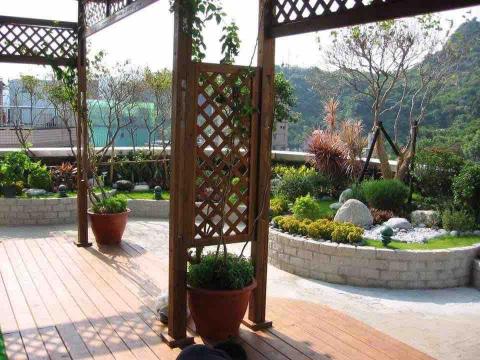 玉樹景觀工程-小小劉 -  玉樹景觀工程-小小劉 -