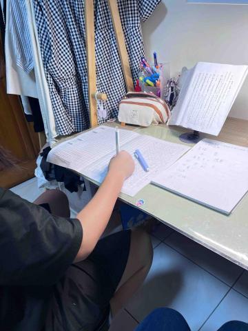 Shan珊珊 - 輔導五升六孩子寫作文