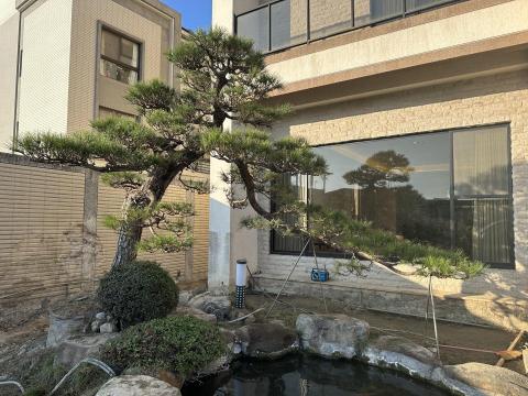 Chuck - 庭園黑松整理