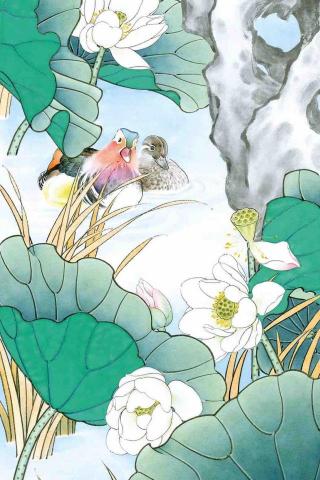 顏安立 - 荷塘鴛戲