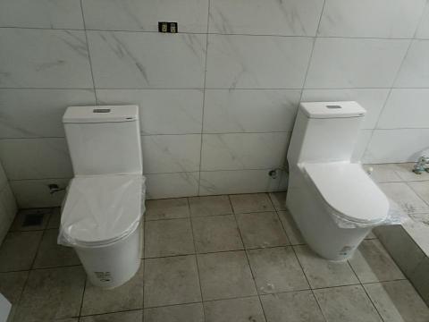 大立工程 - 安裝馬桶