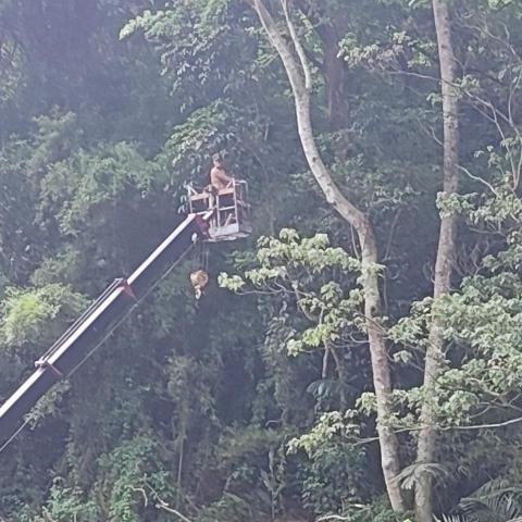 提供割草服務的專家賴先生