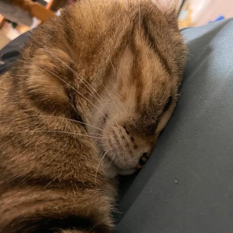 提供兼職工作中壢服務的專家魏先生