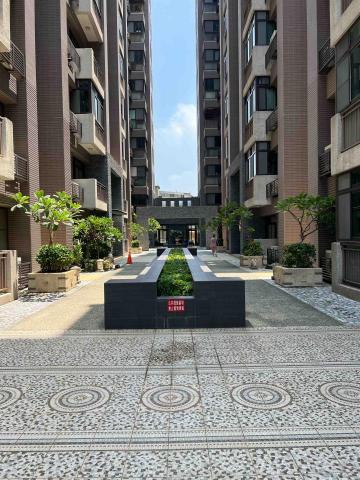 匠人樹木工作室 - 修剪後