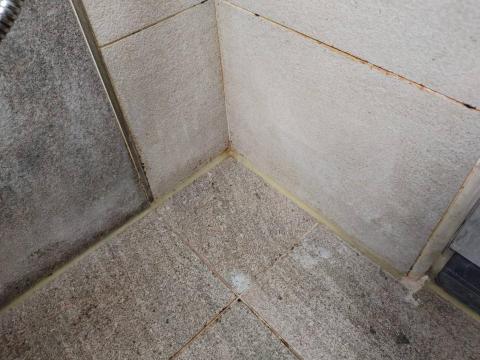 周光山 - 浴室黴垢皂垢清潔前