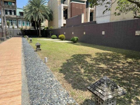 匠人樹木工作室 - 修剪後