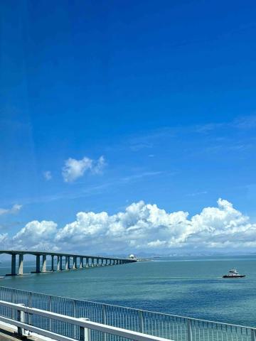 Erica - 港珠澳大橋