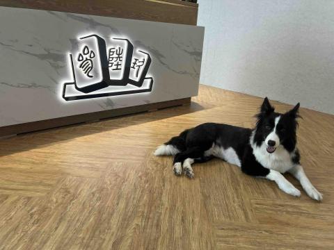 Chen-Hui - 寵物照顧/愛狗人士/