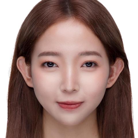 提供sbir代寫服務的專家張晶晶