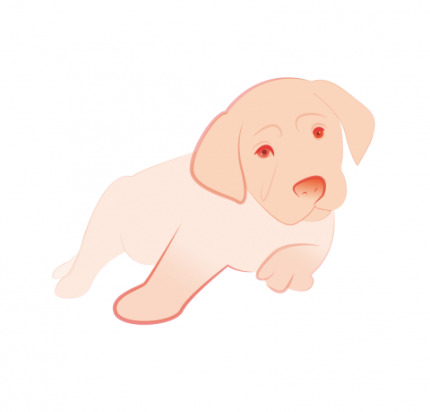 Rouser生活繪圖 - 狗