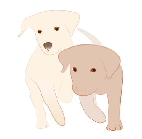 Rouser生活繪圖 - 狗