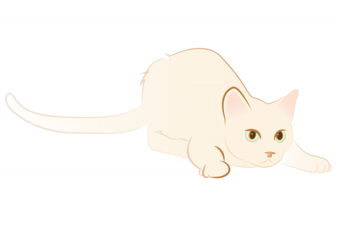 Rouser生活繪圖 - 貓
