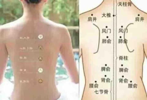 馬沙吉-中部傳統整復推拿按摩 - 北部對應五行 馬沙吉-中部傳統整復推拿按摩 - 北部對應五行