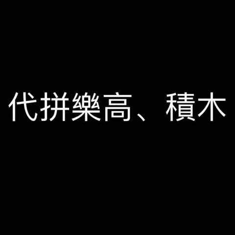 提供代拼樂高工作服務的專家楊琇惠