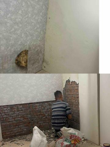 楊清龍 - 壁癌問題，師傅都自己親自動手，不隨意叫客戶整片剔除！除非裡面漏水問題過於大片，都會把狀況說給屋主。