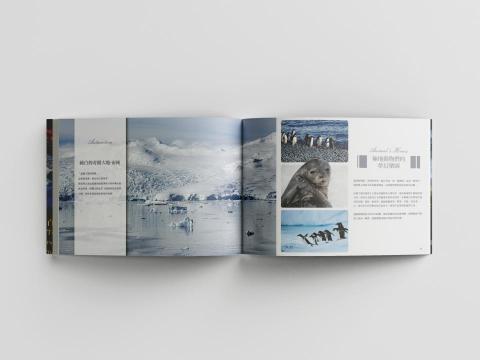 Diego's Design - 龐洛郵輪型錄