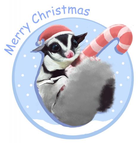 Bassie - 寫實插畫電繪
對方可愛毛孩-蜜袋鼯，搭配聖誕節風格