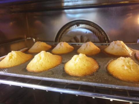 CHOBIBI-宏達 - 瑪德蕾的肚臍