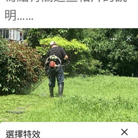 提供割草服務的專家亞瑟園藝
