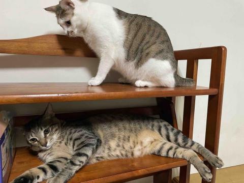 李宜芳 - 自家姐弟照