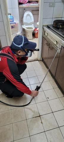 安能除蟲 - 仔細尋找蟲害藏匿點加以速殺。