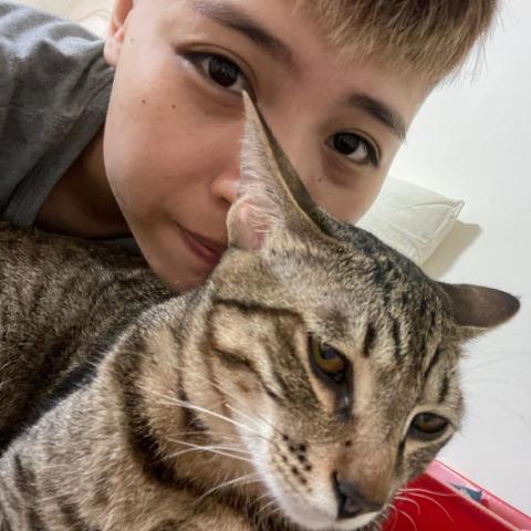 提供soho族服務的專家李宜芳