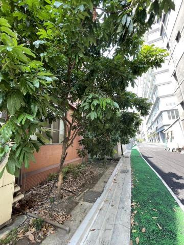 于森園藝企業社 （林先生） - 施工前