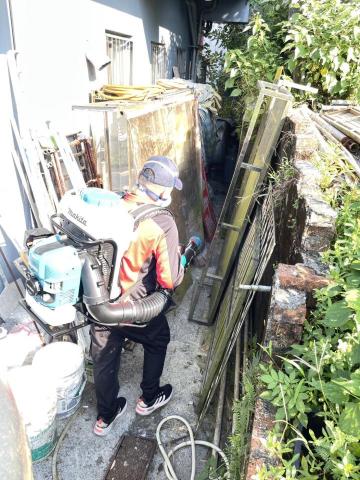 安能除蟲 - 巷弄滅蚊很重要，消滅登革熱。