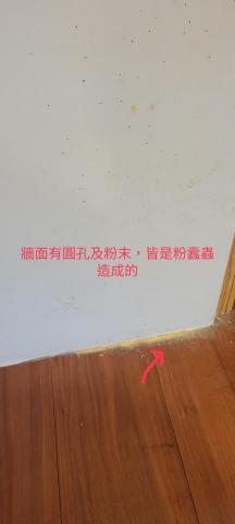 安能除蟲 - 發現牆面圓形孔洞及落粉請勿忽視。
