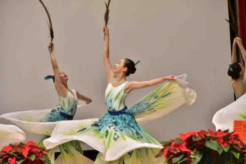 廖嘉鴻 - 活動紀錄