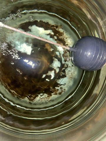 王志源 - 清洗前