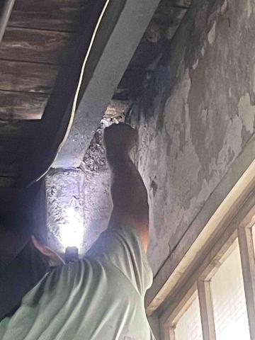 力衍病媒防治有限公司 - 白蟻防治