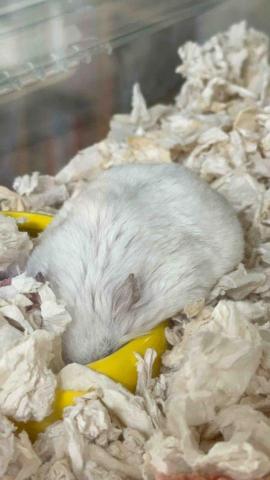 信賴事務所(借址登記/商業與營業登記/記帳報稅/倉庫出租) - 