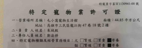 毛小窩寵物旅館-免費專車接送-合法經營（寵字營登皆有） - 