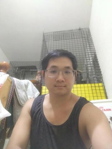 提供壁貼之家服務的專家陳宗偉