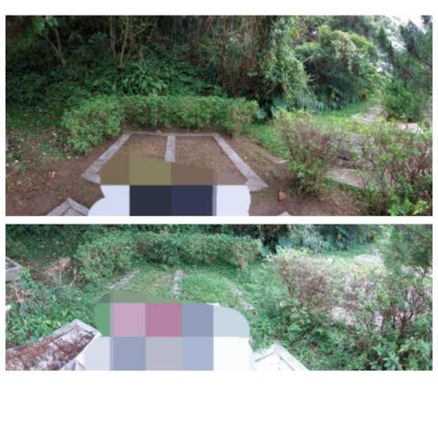 黃先生 - 墓園園藝維護