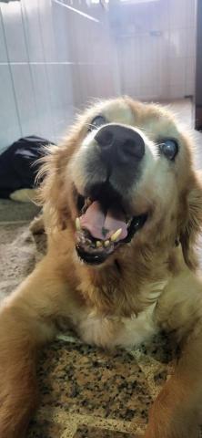 魏志安 - 到府-娜娜