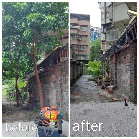 黃先生 - 防火巷樹木伐除