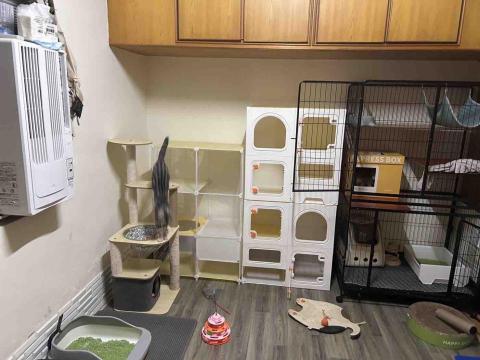 毛小窩寵物旅館-免費專車接送-合法經營（寵字營登皆有） - 