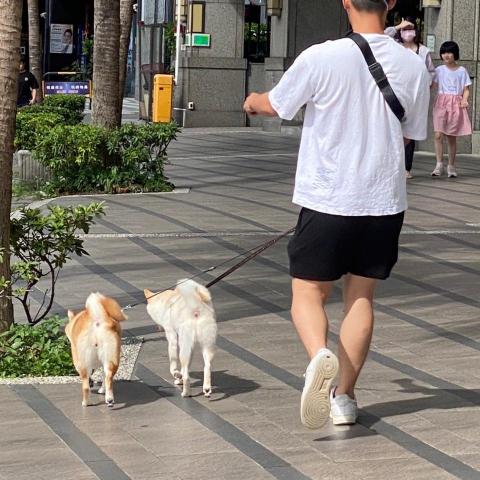 提供中壢運動中心夏令營服務的專家王浩峯