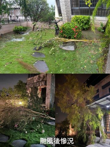 嘉誠園藝/黃昱偉 - 颱風後樹木都倒了
草也很長